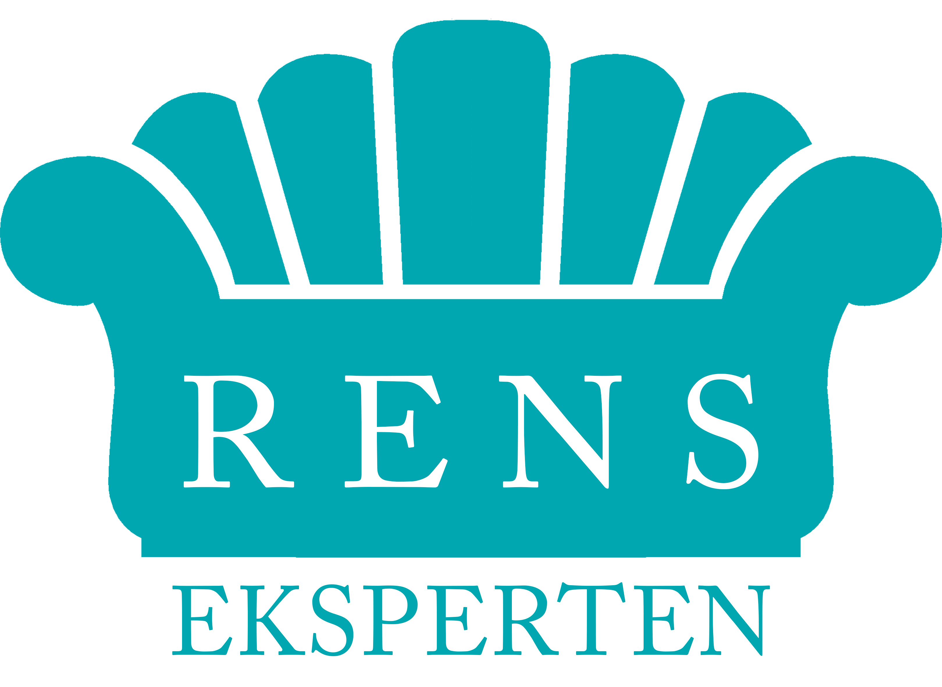 Rens Eksperten